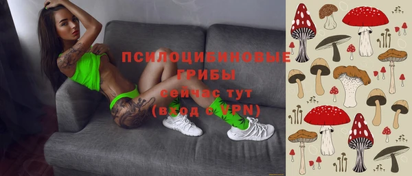 PSILOCYBIN Дмитровск