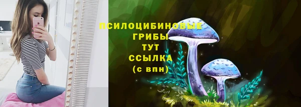 дурь Дмитриев