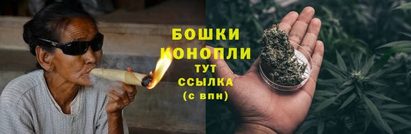 PSILOCYBIN Дмитровск