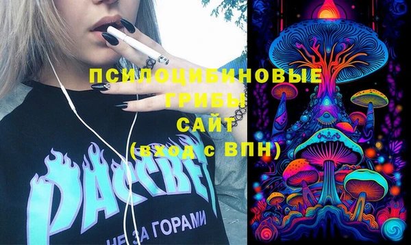 PSILOCYBIN Дмитровск