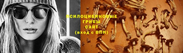 дурь Дмитриев