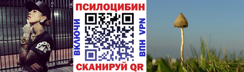 Купить закладки  Дыгулыбгей  Псилоцибиновые грибы Magic Shrooms 